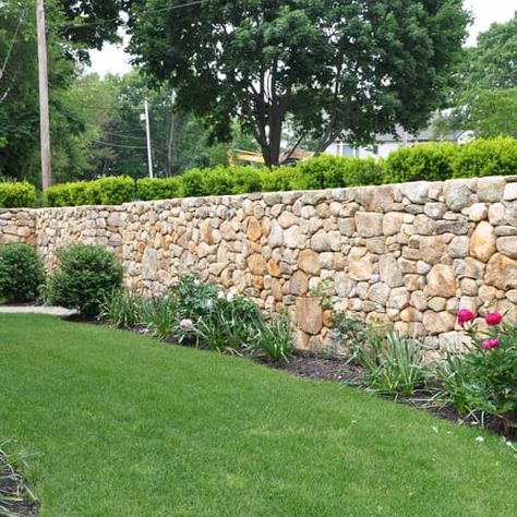 Stone walls Retaining Walls Scituate Sandwich, MA Stone Wall Outdoor Fence, Hostas Garden Ideas, Hosta Gardens Layout, Hosta Garden Ideas, Hostas Garden, Retaining Wall Construction, Wall Landscape, Stone Walls Garden, Stone Fence