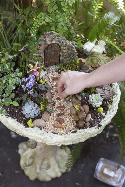 Enchanted Fairy Gardens: The Birdbath Garden Birdbath Fairy Garden, Fairy Teacup Garden, Fairy Garden Bird Bath, Birdbath Garden, Dinosaur Garden, Fairy Garden Pots, Teacup Gardens, Enchanted Fairy, Backyard Plan