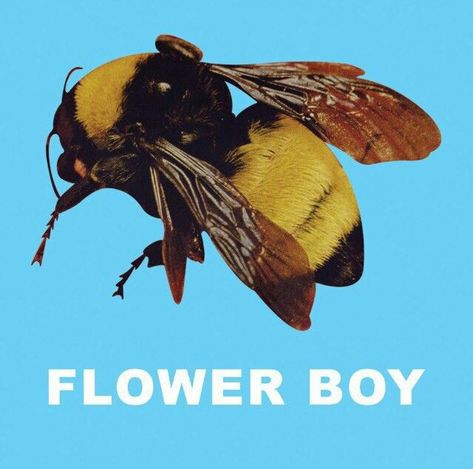 Flower Boy Album Cover, Flower Boy Album, Tyler Okonma, Flower Boy (album), Iphone Wallpaper Vsco, Not Aesthetic, Flower Boy, Odd Future, Golf Wang