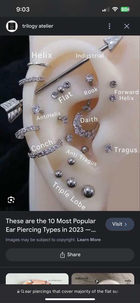 Ear Piercing Diagram, All Ear Piercings, Ear Piercing Names, Piercings Chart, Different Ear Piercings, Unique Ear Piercings, Ear Peircings, Ear Piercings Chart, Piercing Chart