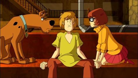 Shaggy And Velma, Velma Scooby Doo, Scooby Doo Pictures, Scooby Doo Mystery Inc, Shaggy Rogers, Scooby Doo Images, Scooby Doo Mystery Incorporated, Shaggy And Scooby, Velma Dinkley