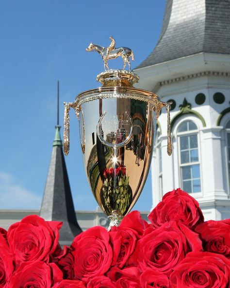 A fun group bet for the Kentucky Derby Kentucky Derby Flowers, Kentucky Derby Aesthetic, Derby Aesthetic, Sea Biscuit, Kentucky Derby Outfit, Derby Party Ideas, Boilermaker, Preakness Stakes, Derby Winners