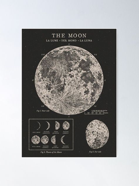 "Moon Phases Vintage Poster" Poster by backtoblackttt | Redbubble Celestial Poster, Vintage Celestial, Moon Phases Art, Bedroom Stuff, Astronomy Art, Dorm Inspo, Moon Poster, Christmas Feeling, Diy Frames