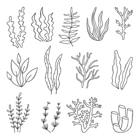 Coral Reef Drawing, Coral Tattoo, Coral Drawing, Underwater Drawing, Underwater Flowers, Ocean Plants, Plant Doodle, Sea Drawing, Ocean Drawing