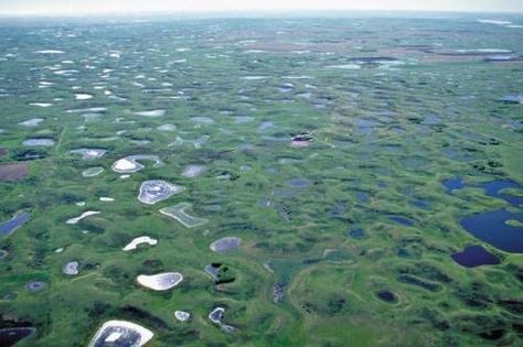 Wetlands Aesthetic, Wetland Restoration, Land Restoration, Ecosystem Services, Landscape Mosaic, Environmental Engineering, City Planning, Remote Sensing, Art Study