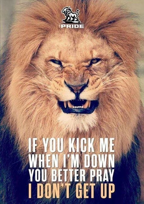 Don't kick me when I'm down Never Kick Me When Im Down Quotes, Kick When Down Quotes, Kick Me When Im Down, Kicked While Down Quotes, Don’t Kick Me When I’m Down, Drop Kick Meme, Down Quotes, Leo Quotes, Jesus Is Coming