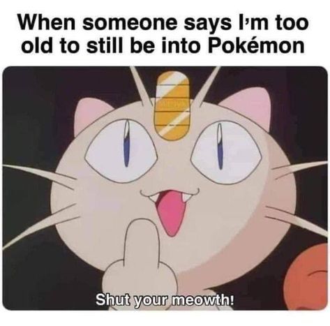 Pokémon Funny, Gotta Catch Them All, Pokemon Memes, Pokemon Funny, Team Rocket, Pokemon Teams, All Pokemon, Catch Em All, Pokemon Pictures