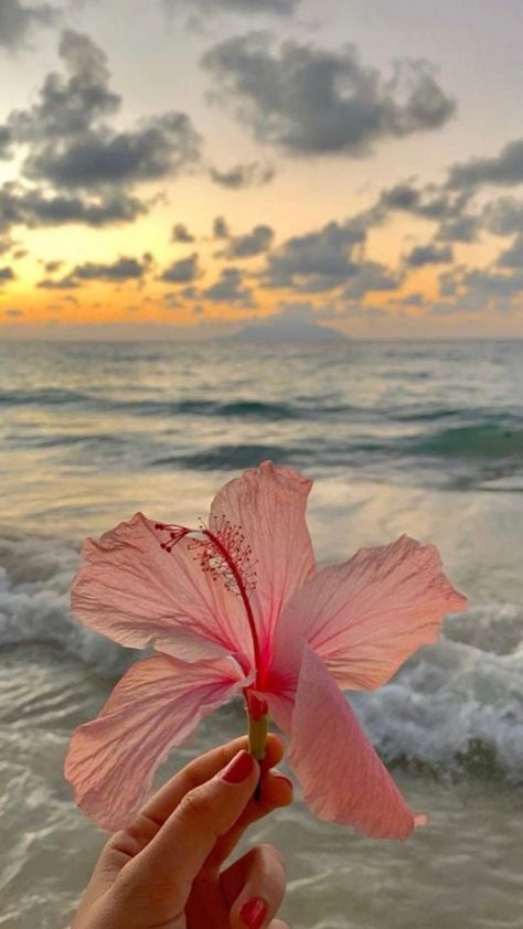 Pink Sand Beach Hawaii, Flowers On Beach, Hawaiian Aesthetic, Hawaii Wallpaper, Beach Hawaii, Pretty Landscapes, Summer Wallpaper, Black Sand, Summer Pictures