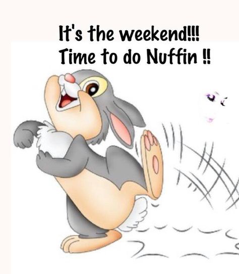 It's the weekend!!! Time to do Nuffin!! .. .. starting with today Friday, taking the day off and sitting around home to play in my garden ♥ Josie 08*15*2014 Saturday Greetings, Weekend Greetings, Saturday Quotes, Weekday Quotes, Weekend Quotes, Weekend Humor, Its Friday Quotes, Friday Humor, Weekend Fun