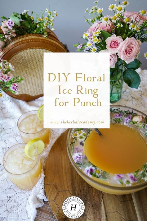 DIY Floral Ice Ring for Punch | Herbal Academy | Learn how to make this easy floral ice ring for punch bowls - the perfect adornment for summer garden parties. Bridal Shower Food Ideas Lunch, Summer Garden Parties, Herbal Academy, Ice Ring, Floral Ice, Drink Recipe Book, Flower Ice, Punch Drinks, Cocktail And Mocktail