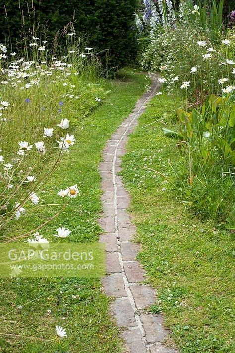 Grass Path, Lawn Path, Brick Path, Wild Garden, Landscape Elements, Grasses Garden, Garden Images, Plant Photography, Patio And Garden