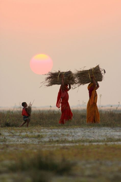 Village Lifestyle, Street Scape, Yamuna River, Interracial Art, Rural Photography, Best Island Vacation, Village Photos, Village Photography, India Culture