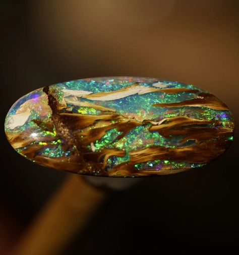 Opalized wood - crystal opal!  Locality: Koroit, Australia  Geology Love ❤️  Credits: @koroit.opal.company Shiny Rocks, Opalized Wood, Koroit Opal, Jelly Opal, Peruvian Blue Opal, Types Of Opals, Yellow Opal, Dendritic Opal, Beautiful Stones