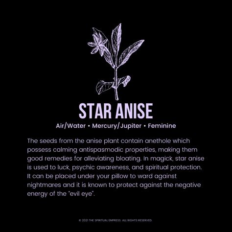 The Healing & Metaphysical Properties Of Star Anise Star Anise Magical Properties, Star Anise Spiritual Meaning, Anise Star Magic, Magical Properties Of Star Anise, St. John’s Wort Magical Properties, Fennel Seed Magical Properties, Magickal Herbs, Magic Herbs, Spiritual Protection