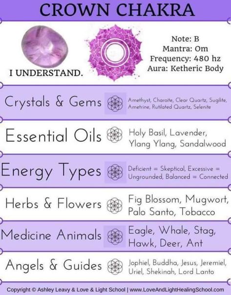 Chakra Foods, Essential Oils For Chakras, Hearth Witch, Sacral Chakra Healing, Chakra Health, Root Chakra Healing, Chakra Cleanse, Chakra Affirmations, Shamanic Healing