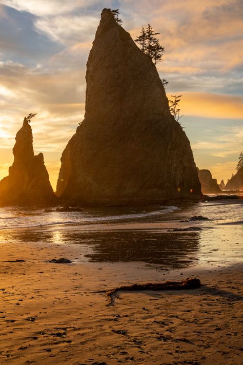 The 14 Best Hikes In Olympic National Park: A Complete Guide Olympic National Park Itinerary, National Park Itinerary, Rialto Beach, Olympic National Park Washington, Channel Islands National Park, Olympic Mountains, Temperate Rainforest, Capitol Reef National Park, Hiking National Parks