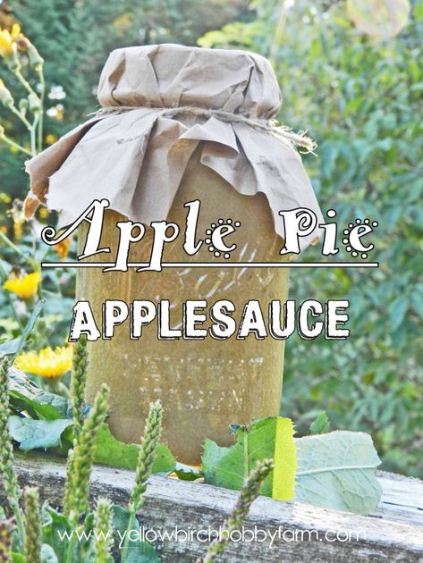 Apple Pie Applesauce Canning Applesauce, Spiced Applesauce, Summer Fruit Recipes, Applesauce Recipe, Home Canning Recipes, Apple Sauce Recipes, Dessert In A Jar, Apple Season, Marinade Sauce