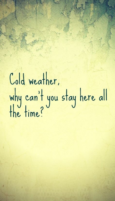 Cold Weather. @Emma Zangs Spellings Funny Cold Weather Quotes, Hilarious Funny Quotes, Cold Weather Quotes, Skiing Quotes, Weather Quotes, I Love Snow, Lovers Quotes, I Love Winter, Funny Profile