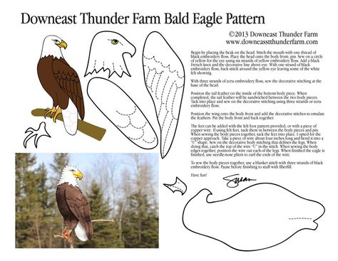 It never fails to thrill me when I see a Bald Eagle. Living along the coast it’s not uncommon to sight one of these majestic birds, but it’s always a treat! To download the pattern to y… Easy Felt Crafts, Felt Birds Ornaments, Felt Craft Projects, Wool Applique Patterns, Bird Quilt, Bird Crafts, Wool Projects, Felt Birds, Felt Patterns