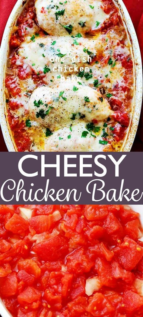 One Dish Chicken Bake, Cheesy Chicken Bake, One Dish Chicken, Canned Tomato Recipes, Recipes With Diced Tomatoes, Chicken Baked, Chicken Bake, One Dish Dinners, Baked Chicken Breast