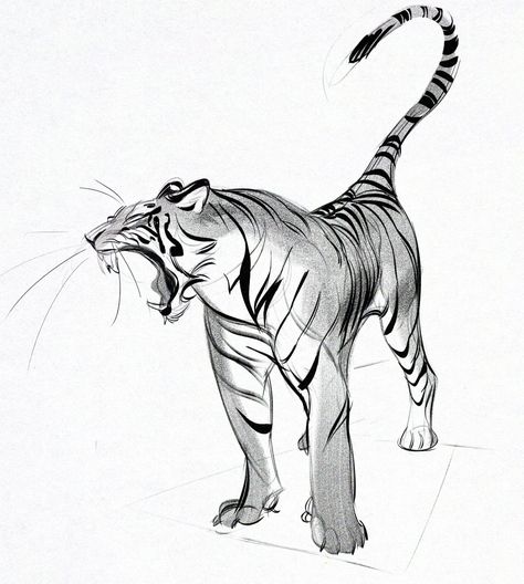 Cookie on Twitter: "quick tiger study, powering through a deadline at the moment so relaxing with simple sketches… " Tiger Study, Tiger Sketch, Simple Sketches, Drawing Study, Tiger Drawing, Tiger Illustration, Big Cats Art, Animal Study, Drawing Studies