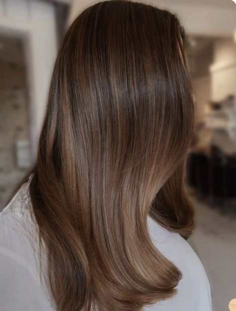 Rich Brown Dimensional Hair, Balayage Straight Hair, Brown Hair Looks, Brown Hair Inspo, Brunette Hair With Highlights, Brown Hair Balayage, Haircuts Straight Hair, Hair Inspiration Color, Hair Inspo Color