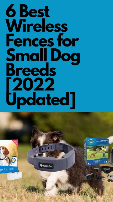 Invisible Fence For Dogs, Invisible Fence, Very Small Dogs, Wireless Dog Fence, Small Fence, Pet Fence, Electric Fence, Dog Fence, Tiny Dogs