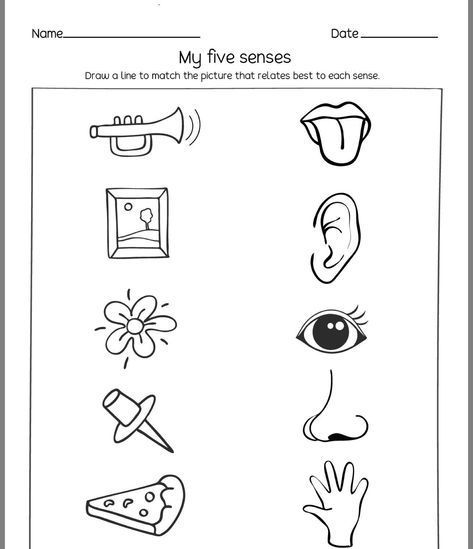 Five Senses Worksheet, Five Senses Preschool, Aktiviti Prasekolah, Nursery Worksheets, Senses Preschool, Body Parts Preschool, Kindergarten Reading Worksheets, Kids Worksheets Preschool, Preschool Math Worksheets