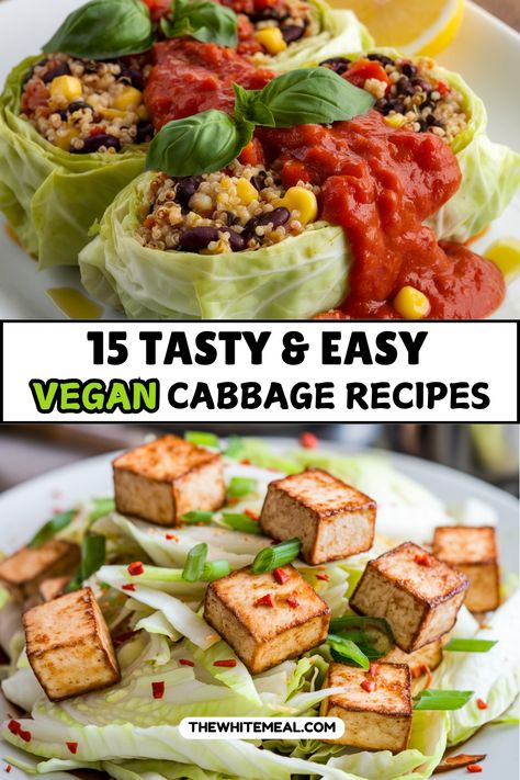 Looking for easy and delicious vegan cabbage recipes? Check out these 15 tasty dishes that are perfect for any meal! From hearty soups and salads to stir-fries and wraps, these simple vegan recipes will help you enjoy cabbage in creative and flavorful ways. Healthy, budget-friendly, and full of plant-based goodness—these cabbage dishes are a must-try! Cabbage Recipe Vegetarian, Vegetarian Stuffed Cabbage, Cabbage Recipes Indian, Vegan Cabbage Recipes, Cabbage Potato Soup, Easy Cabbage Recipes, Cabbage Dishes, Simple Vegan Recipes, Vegan Cabbage