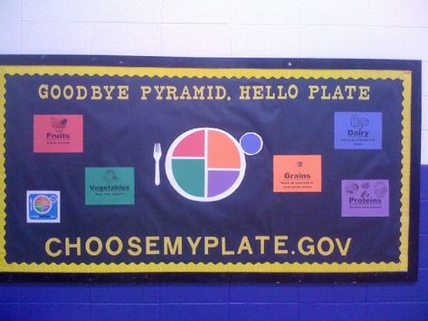 Introducing the Plate Soft Board Ideas, School Cafeteria Decorations, Nutrition Bulletin Boards, Pe Classroom, Pe Bulletin Boards, Soft Board, School Nutrition, School Nursing, Boards Ideas