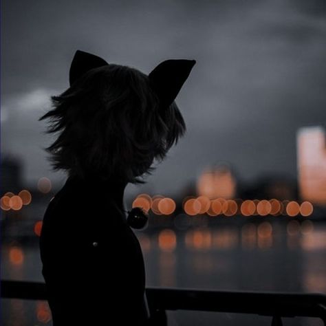 Gabriel Agreste Aesthetic, Adrien Agreste Real Life, Adrien Core, Mlb Aesthetic, Fanfic Prompts, Aesthetic Miraculous, Miraculous Aesthetic, Cat Noir Miraculous, Ladybug Icon