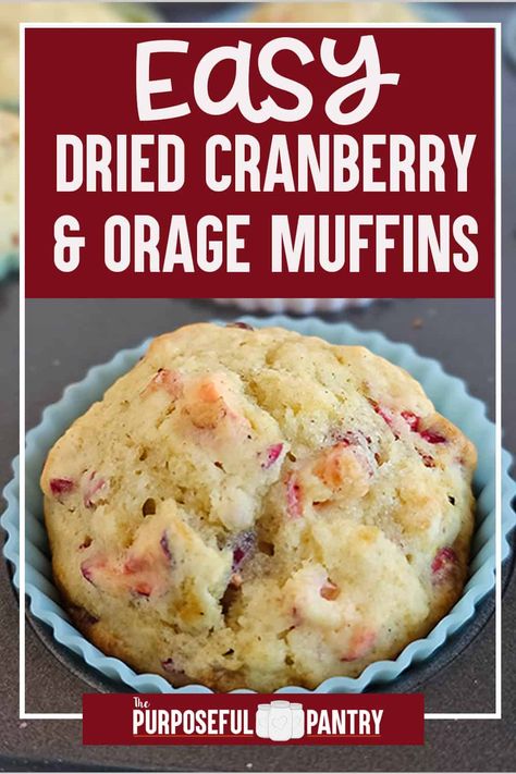 Easy Dried Cranberry and Orange Muffins - The Purposeful Pantry Cranberry Recipes Easy, Dried Cranberry Muffins, Cranberry Recipes Healthy, Dried Cranberries Recipes, Cranberry Orange Muffin Recipe, Cranberry Recipes Muffins, Easy Breakfast Treats, Dried Cranberry, Cranberry Baking