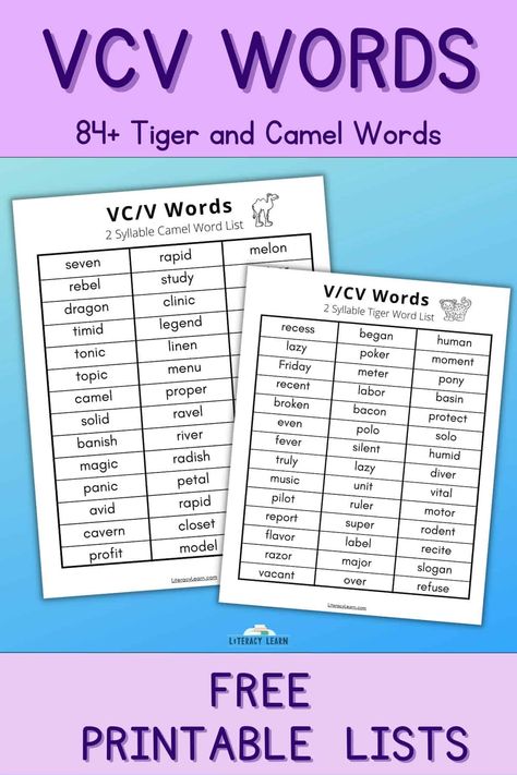 Cv Words Phonics, Vc Words List, V Words For Kids, Vcv Words, Elementary Classroom Themes, V Words, Cv Words, Reading Strategy, English Phonics