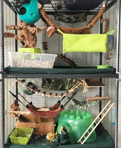 Critter Nation Cage Ideas, Critter Nation Rat Cage, Ferret Enclosure, Cage Aesthetic, Degu Cage, Pet Rat Cages, Critter Nation Cage, Rattus Rattus, Rat Care