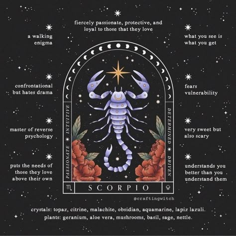 Scorpio Personality Traits, Witchcraft Store, Sagittarius Virgo, Scorpio Personality, Aquarius Aries, Astrology Scorpio, Metaphysical Store, Scorpio Zodiac Facts, Zodiac Signs Scorpio