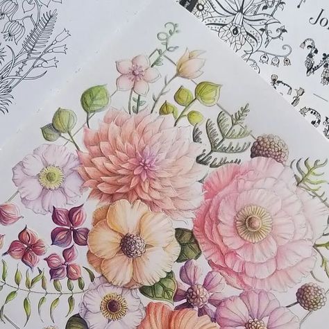 Johanna Basford World Of Flowers, Basford World Of Flowers, Coloured Pencil Techniques, Joanna Basford Coloring, World Of Flowers, Joanna Basford, Prismacolor Art, Illustrator Inspiration, Johanna Basford Coloring Book