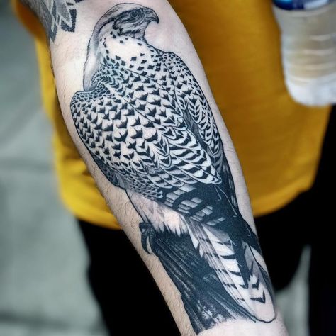 Tattoo uploaded by Tattoodo | Peregrine falcon by Ricky Williams #RickyWilliams #blackandgrey #realism #realistic #hyperrealism #bird #falcon #peregrinefalcon #nature #animal #feathers #wings #tattoooftheday | 432131 | Tattoodo Perched Bird Tattoo, Peregrin Falcon Tattoo, Birds Of Prey Tattoos, Tattoo Sleeve Animals, Peregrine Falcon Tattoo, Bird Of Prey Tattoo, Falcon Tattoo, Mangas Tattoo, Ricky Williams