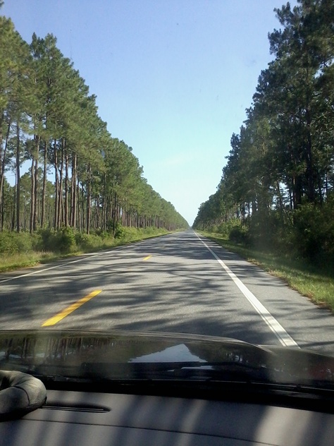 On the way to St. George Island, FL Monthly Aesthetic, Mexico Beach Florida, St George Island Florida, Port St Lucie Florida, Island Aesthetic, Saint George Island, St George Island, Fav Place, Florida Sunshine