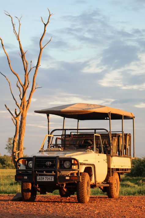 Out Of Africa Style, Safari Background, Horse Safari, Safari Aesthetic, Safari Vbs, Safari Truck, Safari Car, Zambia Safari, Safari Bus