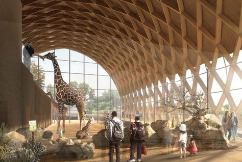 Giraffe House & African Savannah, Zoo Mulhouse. - Henchion Reuter Architects Zoo Building Ideas, Planet Zoo Giraffe Habitat, Planet Zoo African Habitat, Modern Zoo Entrance, Zoo Architecture Concept, Zoo Habitats Design, Zoo Backstage, Planet Zoo Layout Ideas, Zoo Exhibit Design