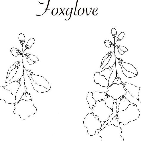 Sveta 🇺🇦 nature inspired artist on Instagram: "Foxglove, delphinium, lavender and other wildflowers ! Comment Wildflowed and I’ll send you the link to easiest and fun tutorials to draw those beautiful flowers 🌷#howtodrawflowers" Foxglove Line Drawing, Foxglove Drawing Simple, Foxglove Flower Drawing, Lupine Drawing, Foxglove Drawing, Foxglove Illustration, Acotar Annotations, Realistic Flower Drawing, Delphinium Flower