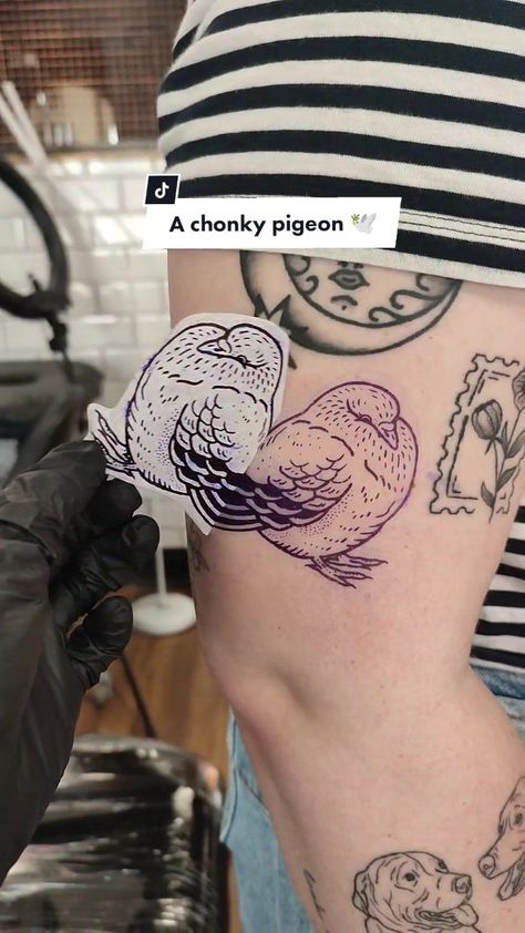 Etch Tattoo Style, Uk Tattoo Ideas, Illustrative Tattoos, Pigeon Tattoo Design, Glass Animals Tattoo, Weevil Tattoo, Cute Pigeon Tattoo, Scientific Tattoo, Pigeon Tattoo