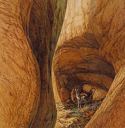 Bev Doolittle Prints, Illusional Art, Western Pictures, Bev Doolittle, Figure Ground, Hidden Art, Cowboy Pictures, Hidden Images, Art Optical