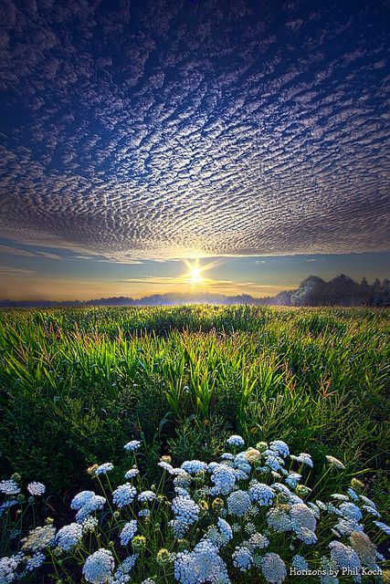 Cold air high up and a dawning sun. The composition says blue -- as in the color, not the mood.  (Promise Fulfilled | Phil Koch) Art Colourful, Alam Yang Indah, Beautiful Sky, Best Photographers, Beautiful Photography, Amazing Nature, Nature Pictures, Nature Beauty, Sunrise Sunset