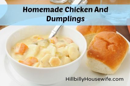 A bowl of homemade chicken and dumplings Butcher A Chicken, Best Chicken And Dumplings, Suet Cakes, Homemade Chicken And Dumplings, Meal Worms, Chicken Dumplings, The Deep South, Chicken Treats, Dumpling Recipe