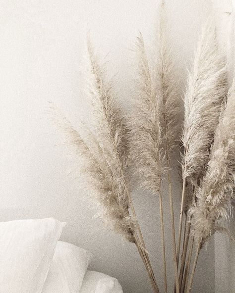 Photo Bleu, Grass Decor, Pampas Grass Decor, 背景 シンプル, Natural Home Decor, Cool Ideas, Easy Home Decor, Décor Diy, Boho Home