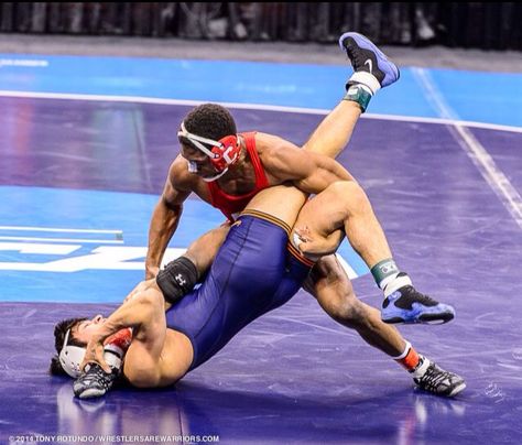 Wrestling begins NCAA Wrestling 11/1/14 Wrestling Photos, Wrestling Quotes, 5sos Funny, Folk Fashion, Going To Work, A Fan, Ufc, Ncaa, Sumo Wrestling