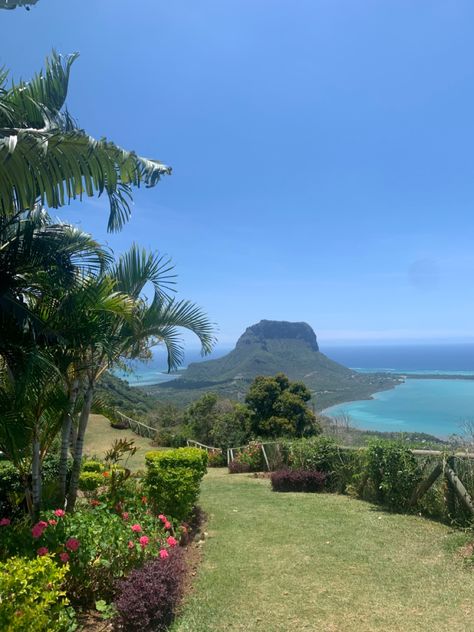 Mauritius, Trees, Green