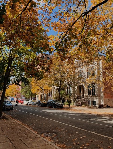 autumn vibes Montreal Fall Aesthetic, Montreal Fall, Fall Inspo, Autumn Vibes, Fall Aesthetic, Cozy Fall, Fall Vibes, Montreal, Roof