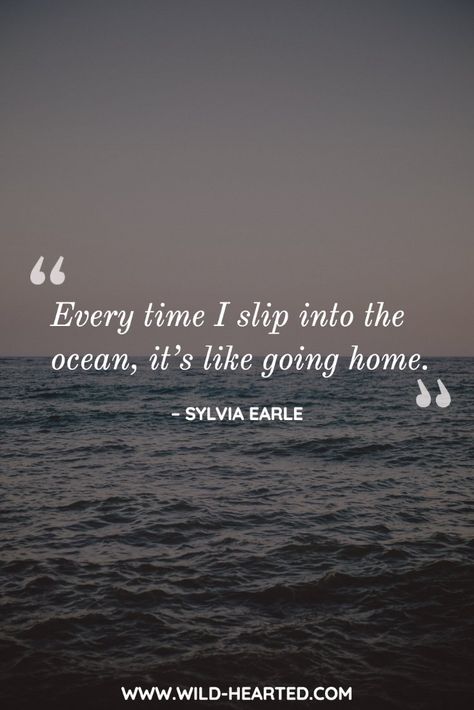 90  Scuba Diving Quotes That Put Your Love of the Ocean into Words Love For Ocean Quotes, Water Related Quotes, Ocean Quote Tattoos For Women, I Love The Ocean Quotes, Sea Quote Tattoo, Ocean Tattoos Quotes, Ocean Quotes Inspirational Short, Cute Ocean Quotes, Water Quotes Inspirational